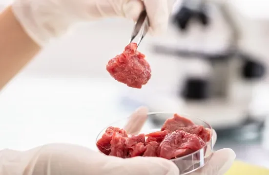 Une ferme laitière près de Rotterdam s'apprête à faire l'histoire de la viande cultivée.