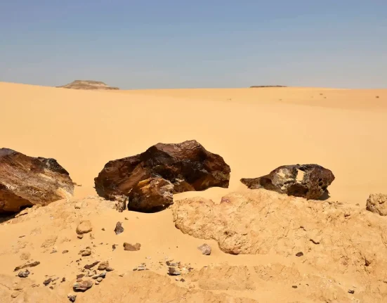 Une météorite rare du Sahara : vestige d'une planète disparue aux origines du système solaire.