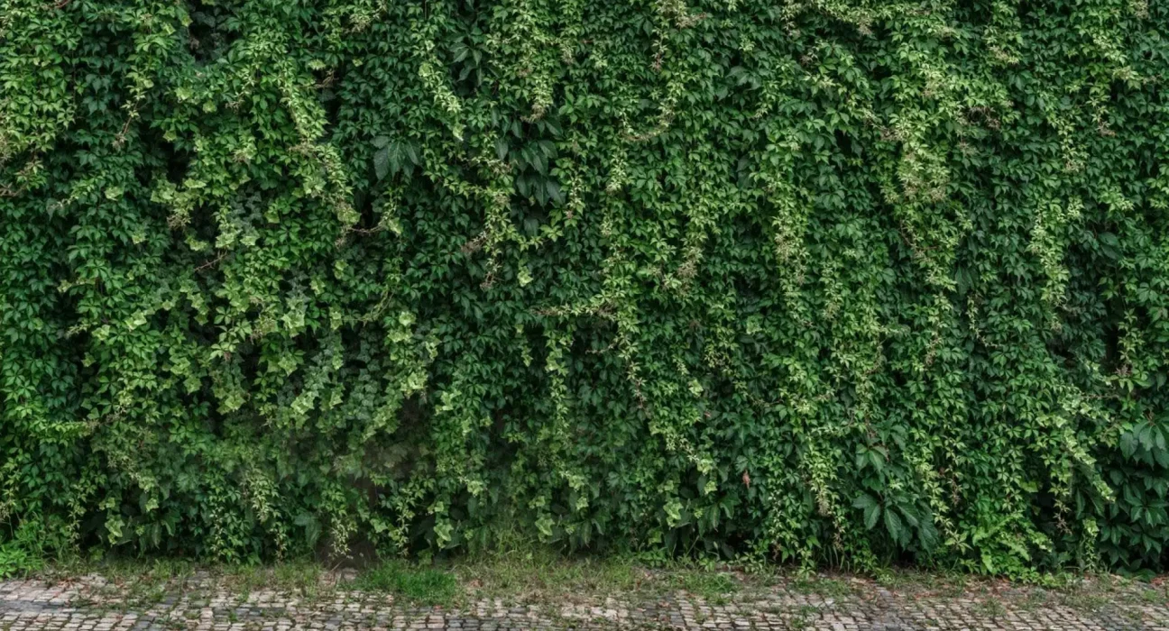 Une nouvelle étude pourrait résoudre enfin un mystère darwinien vieux de 150 ans avec une réponse simple.
