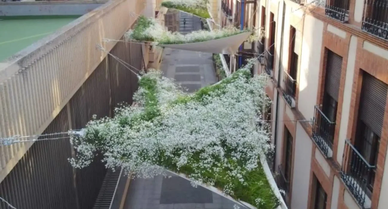 Une ville espagnole déploie des auvents vivants au-dessus de ses rues, alliant esthétique et écologie.