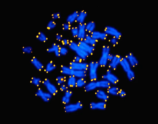 Votre Corps : A-t-il l'Age d'Un Vieillard ? Un Nouveau Test Pour Déterminer Votre Âge Biologique.