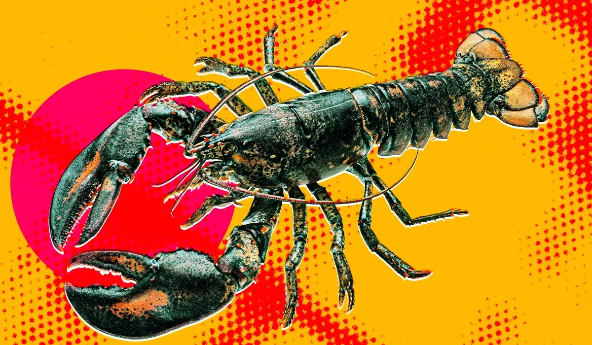Biohackers et Neurochirurgie : Un Lobster Contrôlé par OpenClaw et les Enjeux Éthiques de l'IA