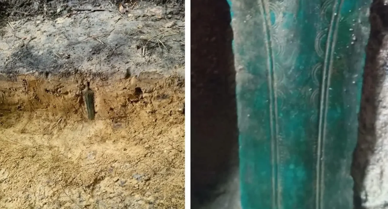 « Découverte d'une épée en bronze plantée dans une forêt polonaise : une possible offrande rituelle »