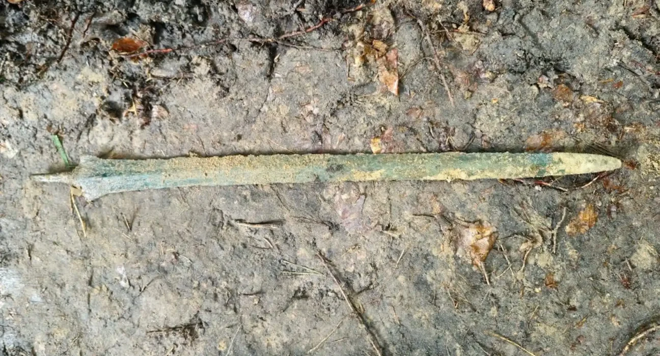 Découverte incroyable : un amateur du nord de la Pologne exhume une épée en bronze vieille de 2,700 ans dans une forêt