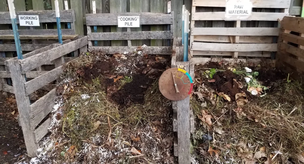 Des experts alertent : certains gobelets et sacs compostables risquent de contaminer le sol du jardin avec des résidus plastiques.