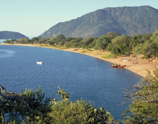 Des larves de mouches du lac Malawi plongent au-delà de 200 mètres, défiant des profondeurs jugées impossibles.