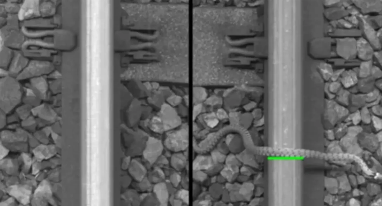 Détecteur de défauts : un serpent sur les rails