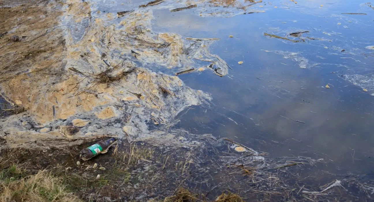 Déversement de 450 000 gallons d'eaux usées en Floride : pollution d'un jardin et menace pour la rivière Caloosahatchee