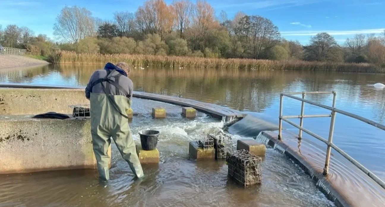 Essai à Somerset : Un filtre innovant transforme les phosphates de l'eau en engrais.