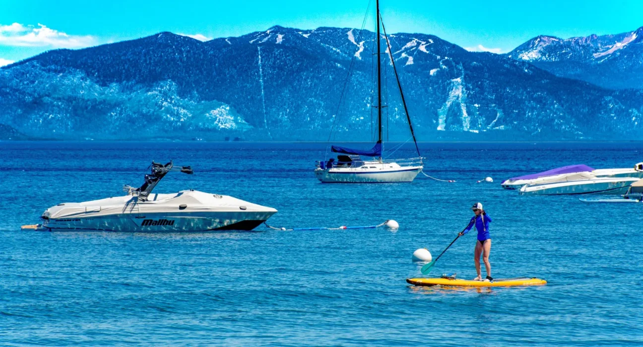 Expansion des moules dorées : le lac Tahoe désormais menacé