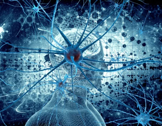 Facebook : L'Intelligence Artificielle au Service de la Catégorisation de Vos Écrits