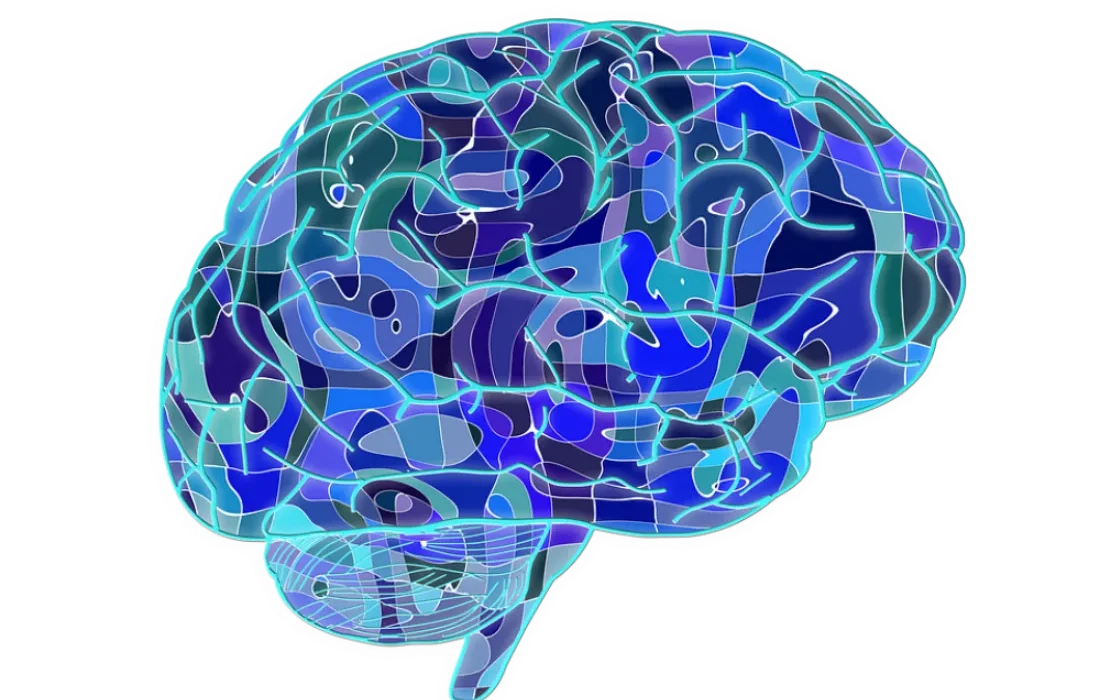 Harvard S'efforce de Développer une Intelligence Artificielle Équivalente à la Vitesse du Cerveau Humain
