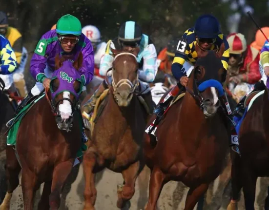 Intelligence Collective Prédit les Quatre Premiers du Kentucky Derby et Remporte 11 000 $