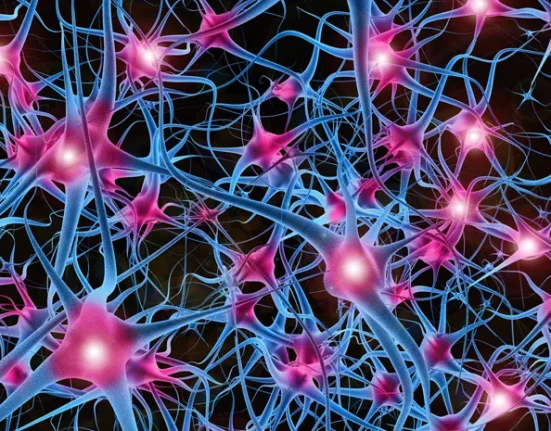 La Plus Grande Réseau de Neurones Jamais Créé Révolutionne l'Apprentissage Profond en IA