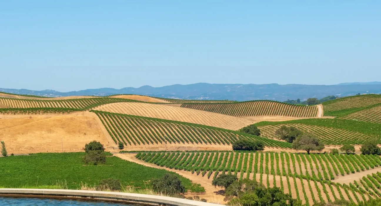 La carte viticole de Californie en pleine mutation : vers un déclin de Napa et Sonoma au profit des régions côtières.