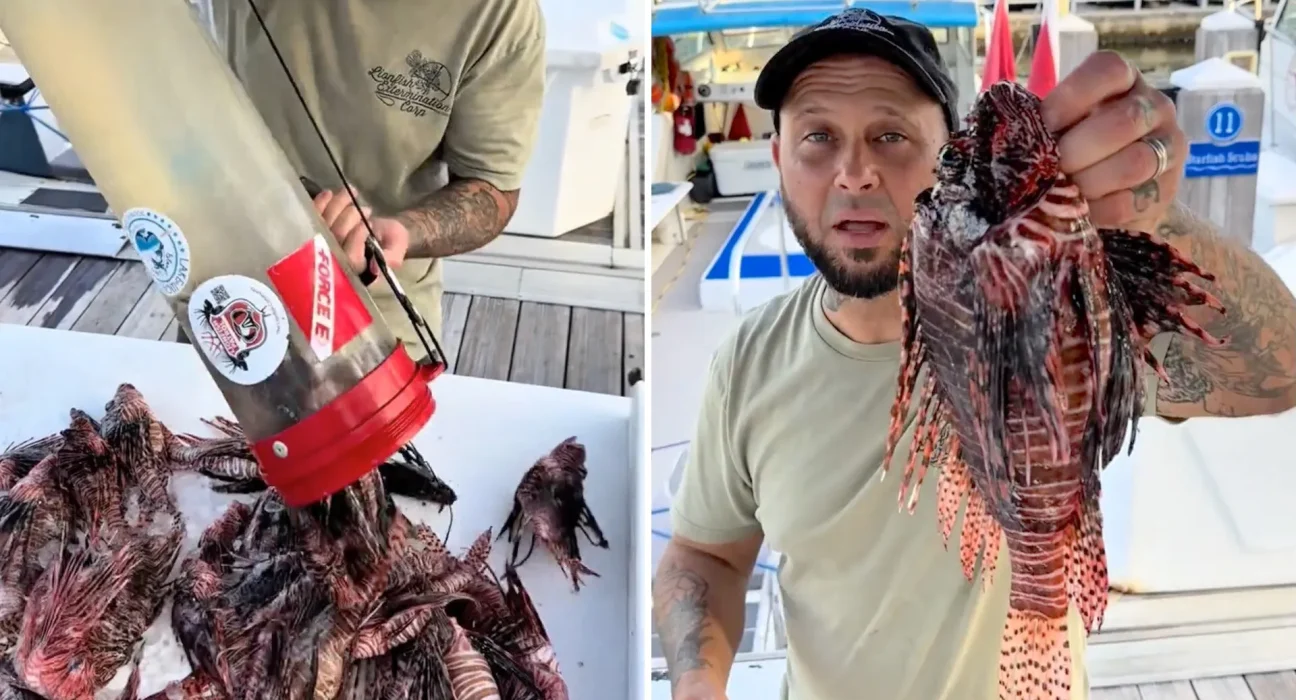 « La lutte contre le poisson-lion : Préservez nos récifs »