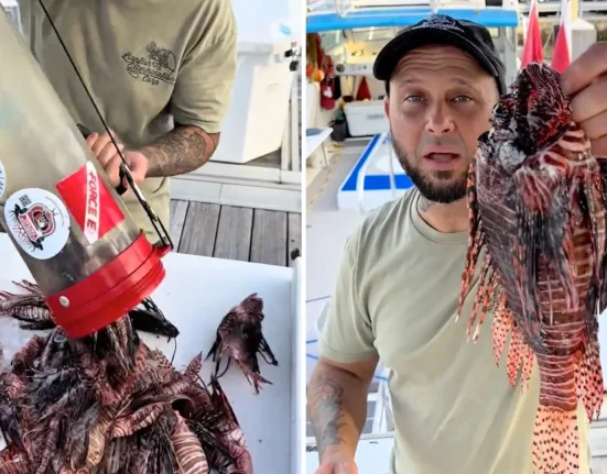 « La lutte contre le poisson-lion : Préservez nos récifs »