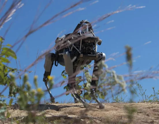 Le Chien Robot de Google Inaugure son Entraînement avec les Marines Américains