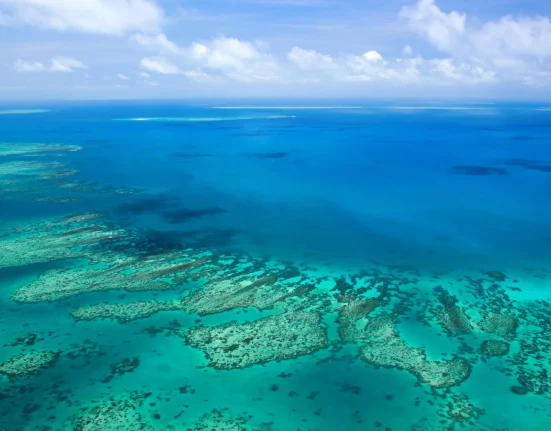 Le Grand Barrière de Corail : une résilience fascinante sur 30 000 ans