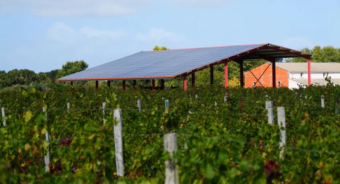 Le Kentucky s'oppose à l'installation de grands projets solaires sur les terres agricoles.