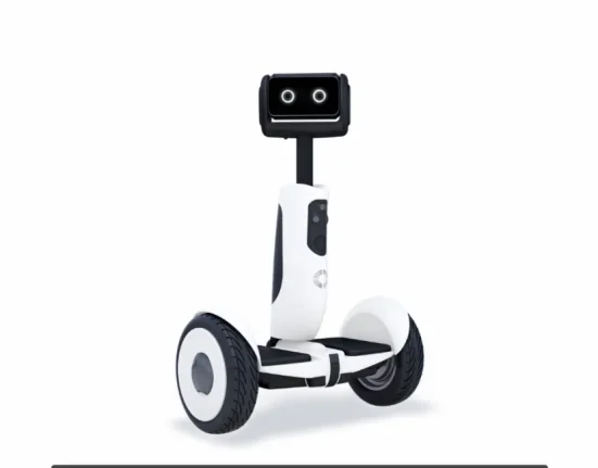 Le Ninebot Segway : Votre Compagnon Robot Amusant et Mobilité Personnalisée.