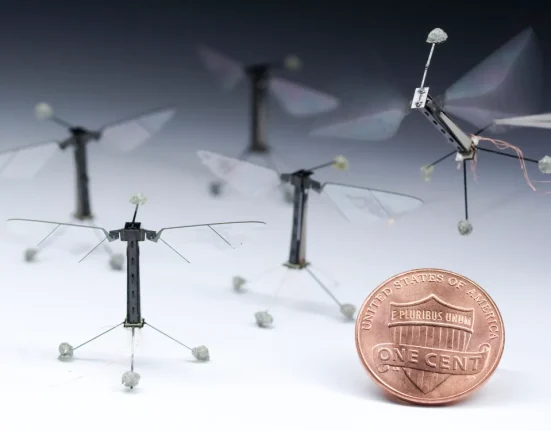 Les Abeilles Robots Font Leur Grande Entrée.
