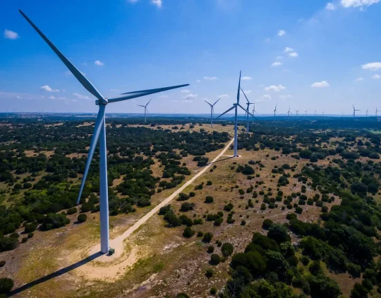 Les écologistes du Texas plaident pour des lois sur l’implantation des énergies renouvelables, avertissant que des interdictions augmenteraient la pollution.