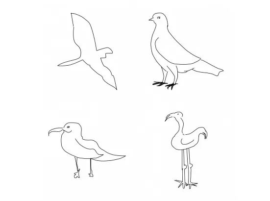 Quel oiseau avez-vous dessiné ? Ce logiciel peut le reconnaître.