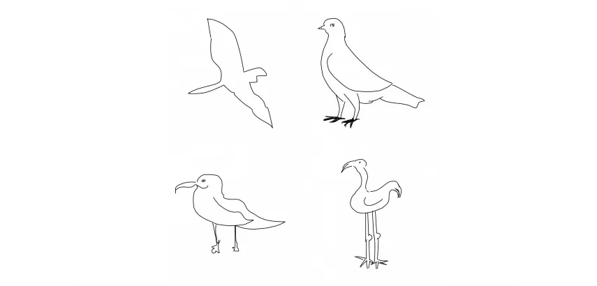 Quel oiseau avez-vous dessiné ? Ce logiciel peut le reconnaître.