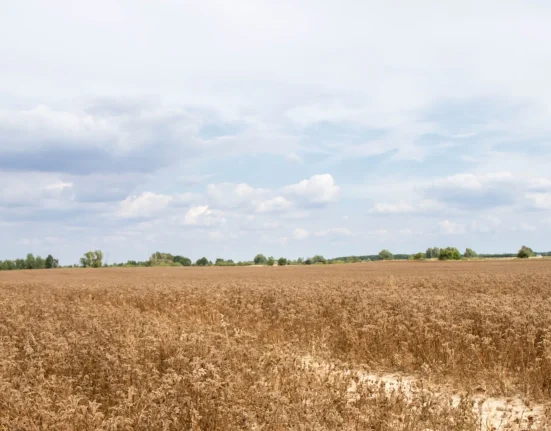 Un El Niño exceptionnel pourrait accentuer la chaleur record d'un monde déjà surchauffé par le changement climatique.