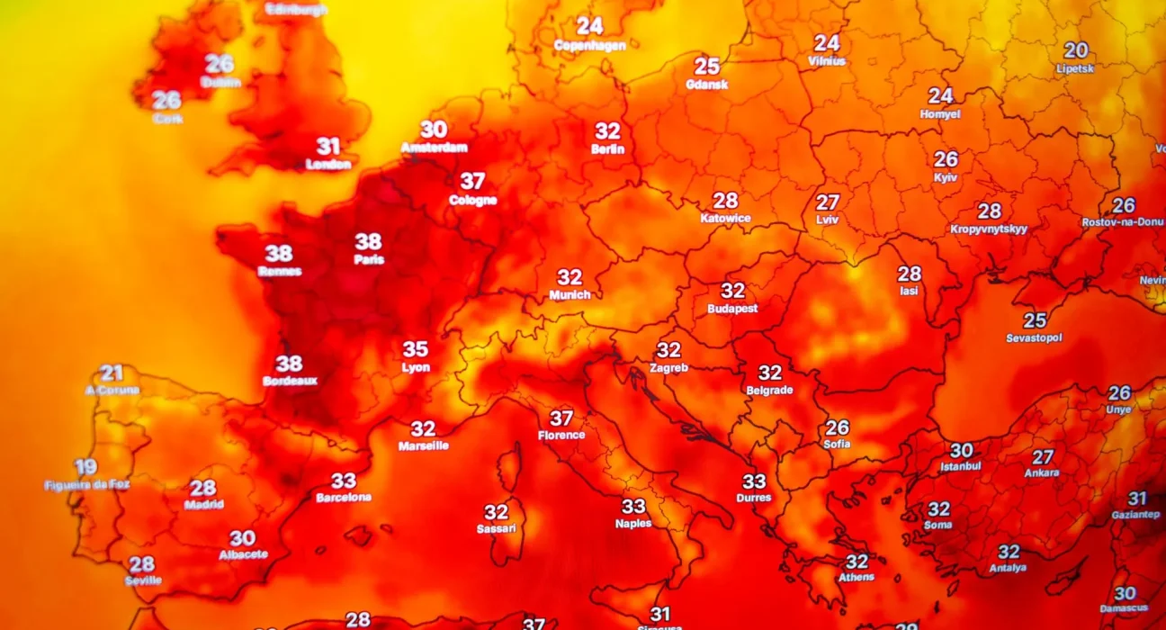 Un Oiseau Mort sur un Trottoir de Berlin : Symbole Glacial de la Canicule Européenne
