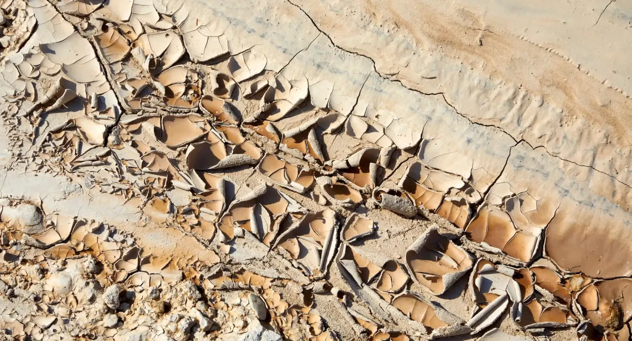 Un été fatidique : la moitié du Dakota du Sud en sécheresse, des sols aux récoltes menacés.