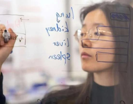 Un scientifique suisse développe une IA "souris virtuelle" pour remplacer les tests sur les animaux en nanomédecine.