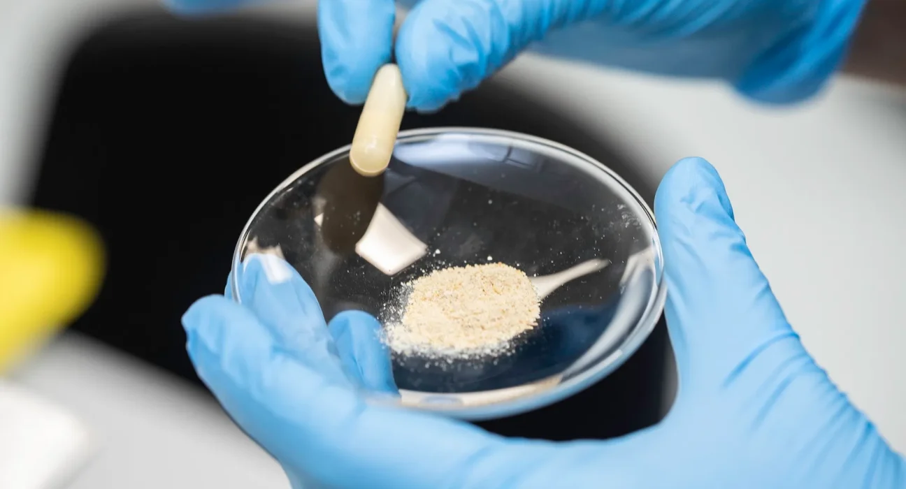 Un supplément à base de bactéries inactives pourrait piéger les microplastiques avant leur absorption par l'organisme.