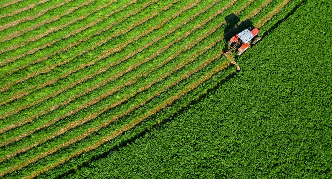 Une Révolution Alimentaire : La Montée d'une Agri-Transformation de 630 Milliards de Dollars