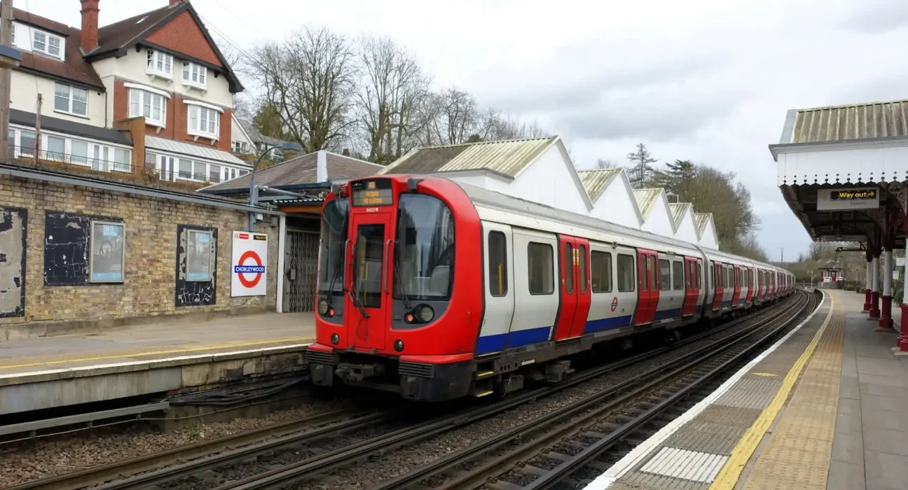 Une station de métro de l'ouest londonien inondée : 5 castors construisent 7 barrages en un an