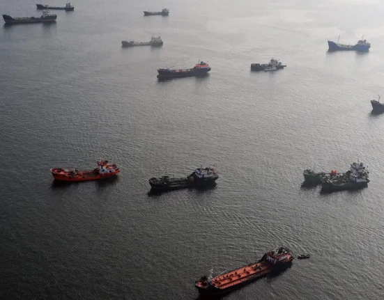 1 500 navires bloqués dans le Golfe Persique : un risque de propagation d'espèces envahissantes