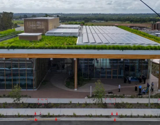 « À Sydney, 14 000 plantes indigènes améliorent de 23 % l'efficacité des panneaux solaires en toiture »