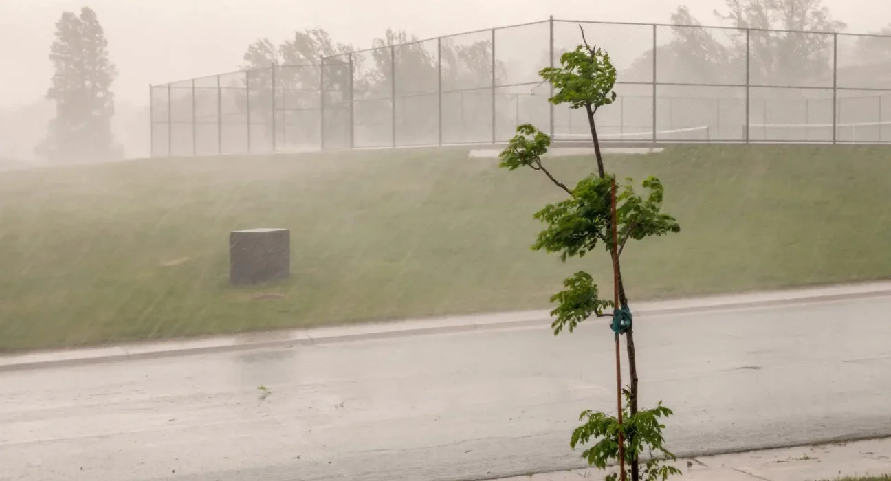 À travers l'est des États-Unis, des pluies extrêmes se regroupent en tempêtes plus puissantes et moins fréquentes.