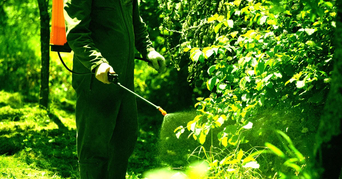 Agriculteur Choqué : L'IA Provoque la Mort de 25 Acres de Cultures avec des Conseils Erronés