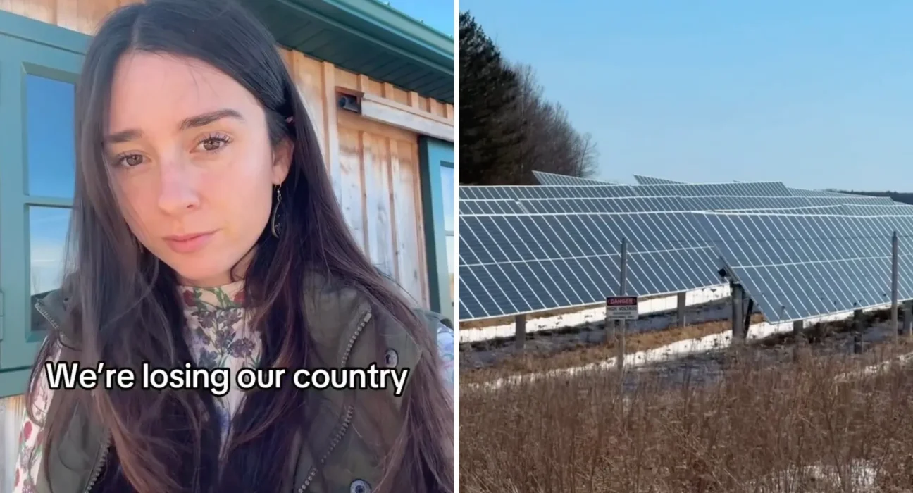 Dans l'État de New York, une influenceuse défend les fermes tout en alimentant une opposition au solaire à droite.