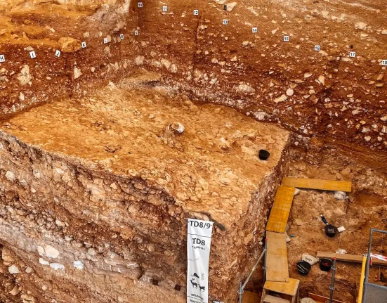 Découverte en Espagne : Une nouvelle vision sur les cannibales préhistoriques et leurs victimes