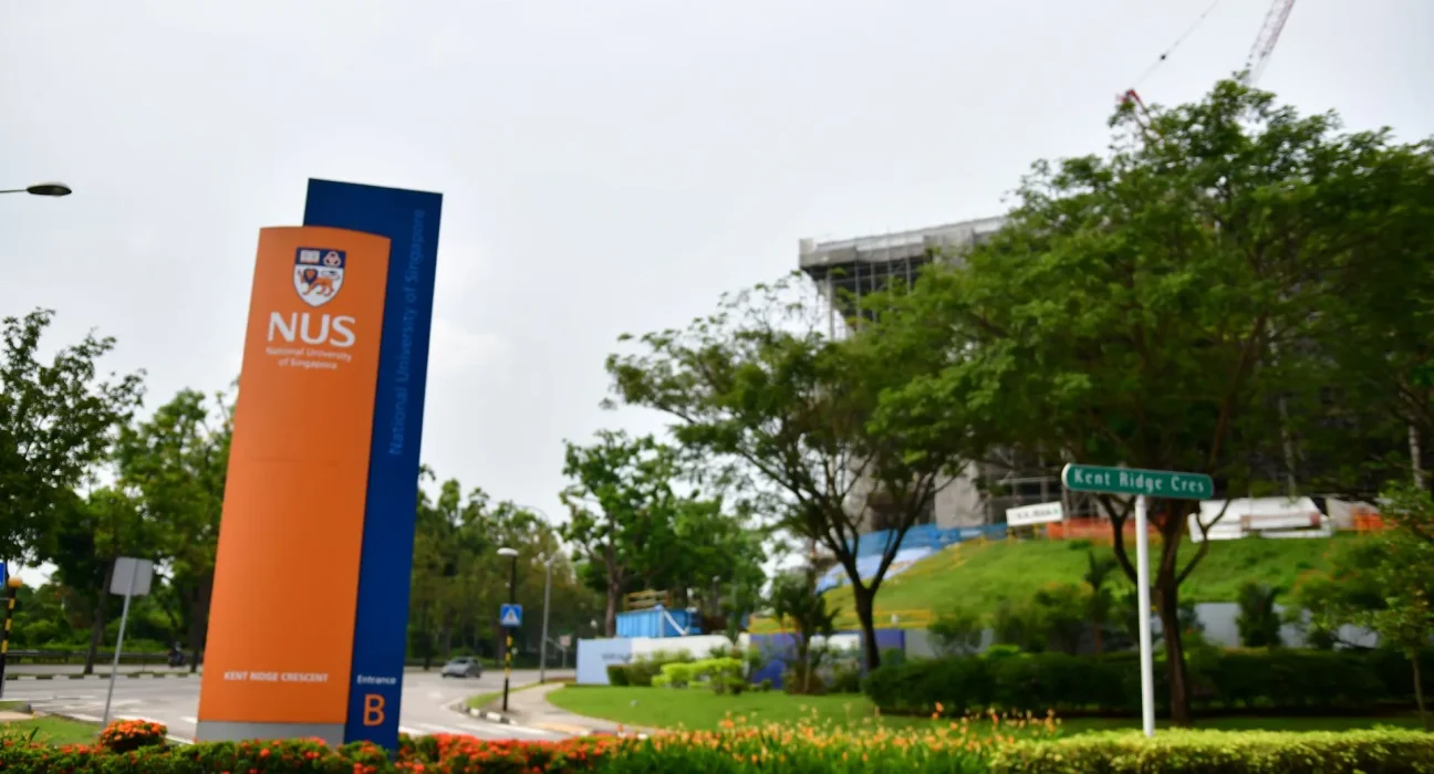 Des chercheurs de Singapour cultivent des neurones humains à partir de sang et les connectent à 20 ordinateurs biologiques.