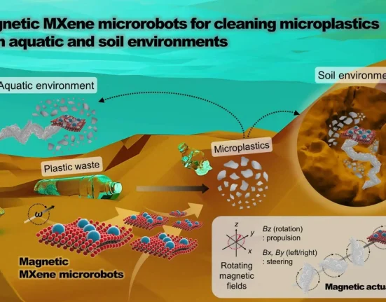 Des chercheurs dirigent des essaims de microrobots magnétiques pour éliminer 94 % des microplastiques de l'eau.