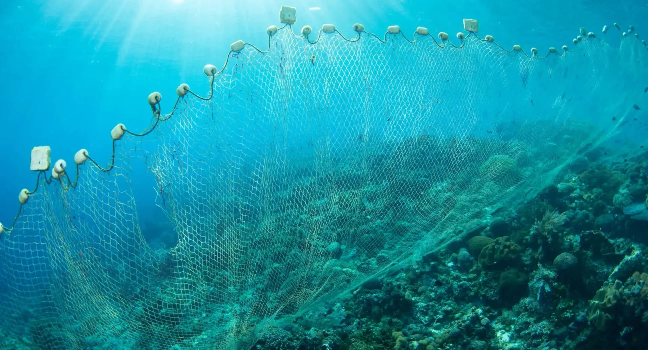 Des cicatrices durables : l'impact du chalutage de fond sur nos océans