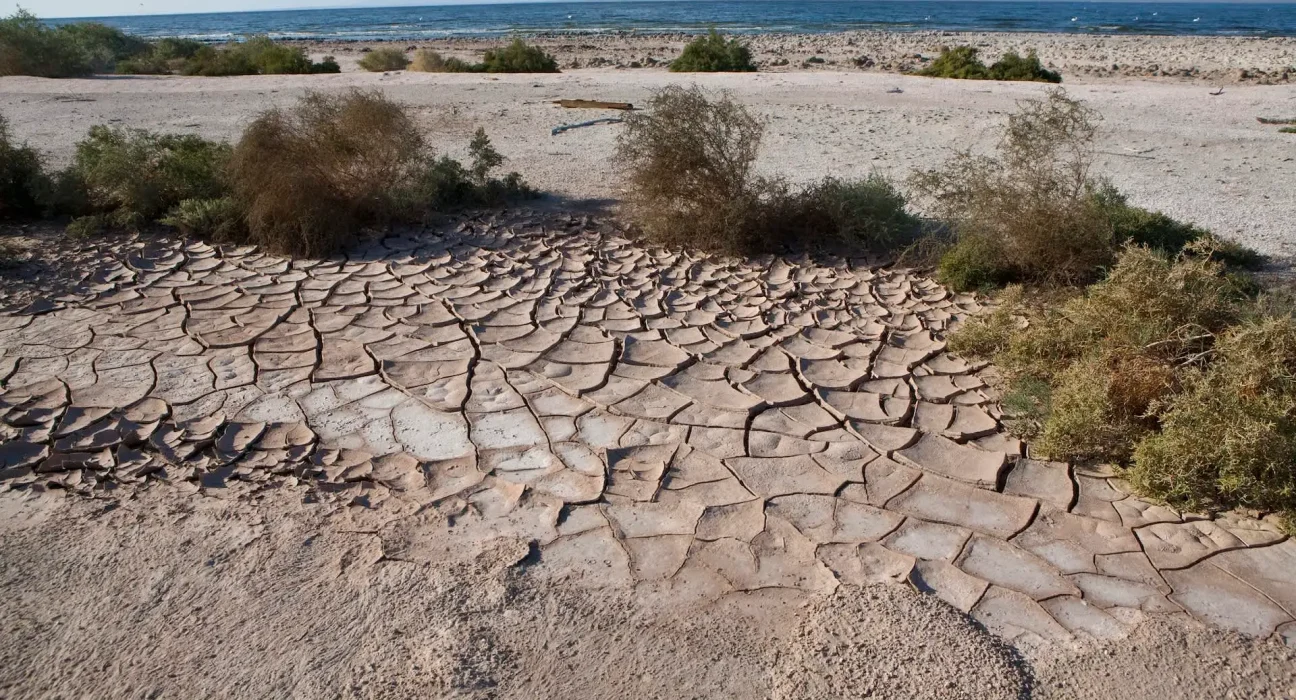 El Niño Sans Précédent : La Tempête Approche et l'ONU Alerte sur des Conditions Météorologiques Difficiles