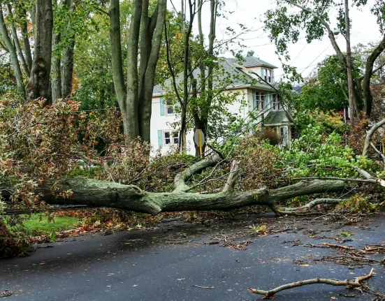 Hurricane Bob : 35 ans après, un rappel alarmant pour la Nouvelle-Angleterre