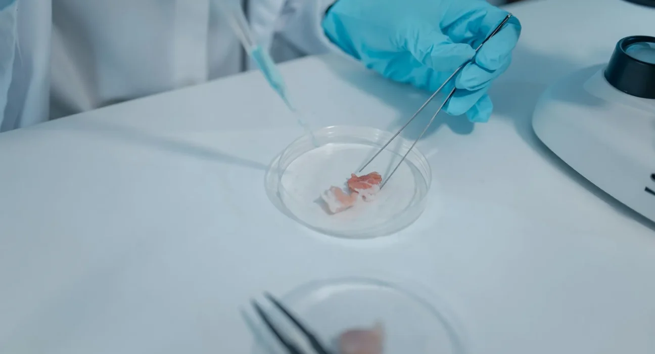 Le Royaume-Uni investit 22 millions de livres dans des organes miniatures pour tester des médicaments, avec l'objectif de remplacer les tests sur animaux.