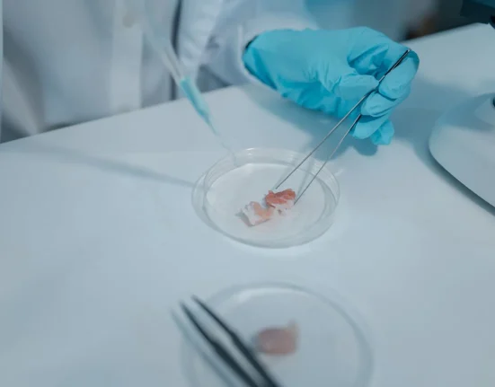 Le Royaume-Uni investit 22 millions de livres dans des organes miniatures pour tester des médicaments, avec l'objectif de remplacer les tests sur animaux.