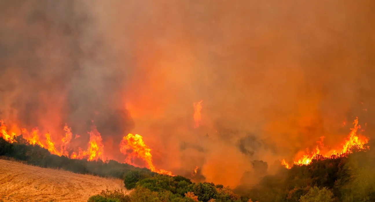 « Les Étés dans le Sud de l'Europe : Un Risque Accru de Feux de Forêt malgré leur Diminution »